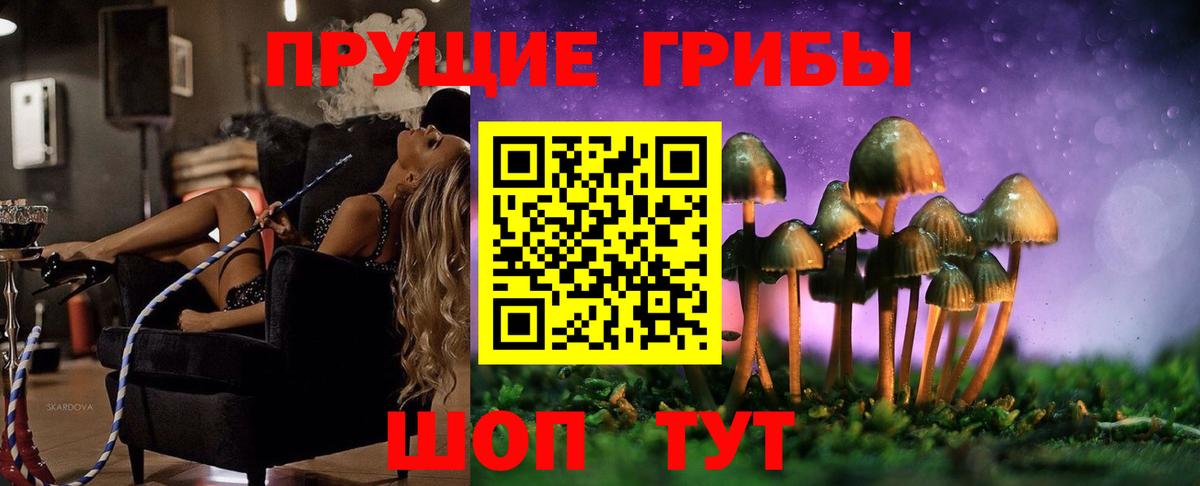Галлюциногенные грибы Psilocybine cubensis  Вход с VPN  Псилоцибиновые грибы прущие грибы  где можно купить   Сосновый Бор 